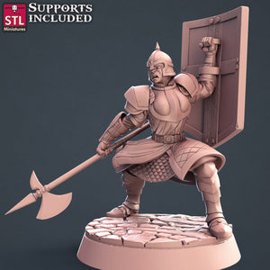 City Guard Set - STL Miniatures - Wargaming D&D DnD