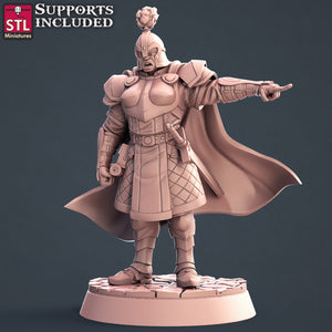 City Guard Set - STL Miniatures - Wargaming D&D DnD