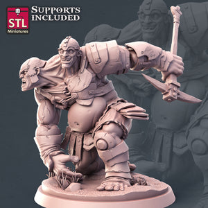 Giant Set - STL Miniatures - Wargaming D&D DnD