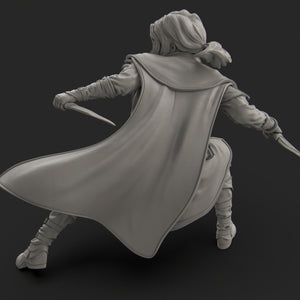 Rogue - Nerikson - Wargaming D&D DnD