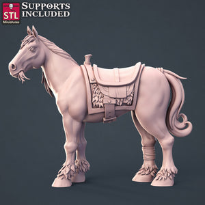 Horse Trainer Set - STL Miniatures - Wargaming D&D DnD