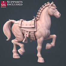 Load image into Gallery viewer, Horse Trainer Set - STL Miniatures - Wargaming D&amp;D DnD