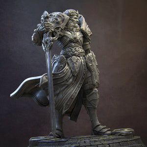 Itrek, Paladin of Dawn - Nerikson - Wargaming D&D DnD