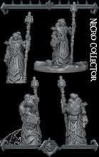 Load image into Gallery viewer, Necro Collector - Rocket Pig Wargaming D&amp;D DnD