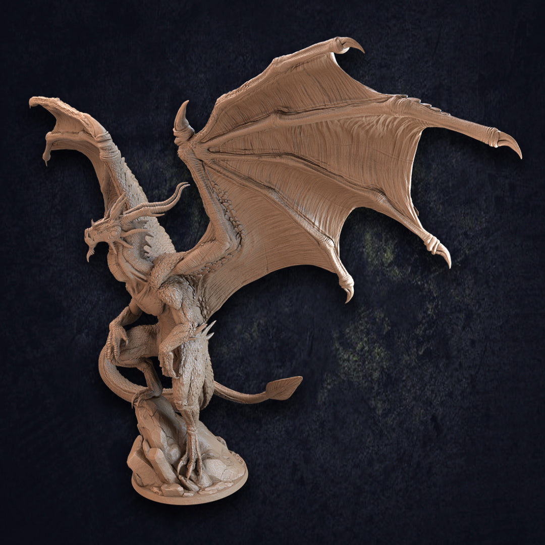 Noddrym, Paladin Dragon - Paladin Dragon and Trapper Pack - Dragon Trapper's Lodge Wargaming D&D DnD