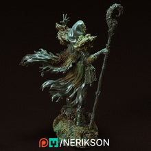 Load image into Gallery viewer, Yelhana, Fathomless Warlock - Nerikson - Wargaming D&amp;D DnD