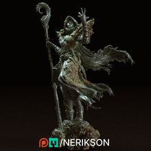 Load image into Gallery viewer, Yelhana, Fathomless Warlock - Nerikson - Wargaming D&amp;D DnD
