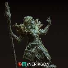 Load image into Gallery viewer, Yelhana, Fathomless Warlock - Nerikson - Wargaming D&amp;D DnD