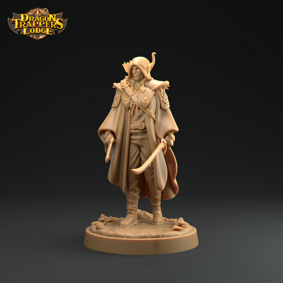 Elf Rogue - Battle for the Unseelie Court - Dragon Trapper's Lodge Wargaming D&D DnD
