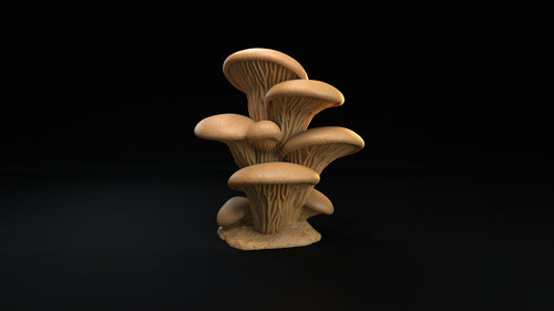 Mushroom Forest Terrain, Type C - The Mushroom Bayou - Dragon Trapper's Lodge Wargaming D&D DnD