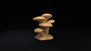 Mushroom Forest Terrain, Type C - The Mushroom Bayou - Dragon Trapper's Lodge Wargaming D&D DnD