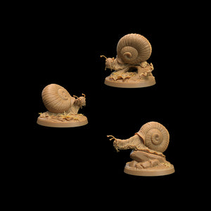 Small Snails - The Mushroom Bayou - Dragon Trapper's Lodge Wargaming D&D DnD